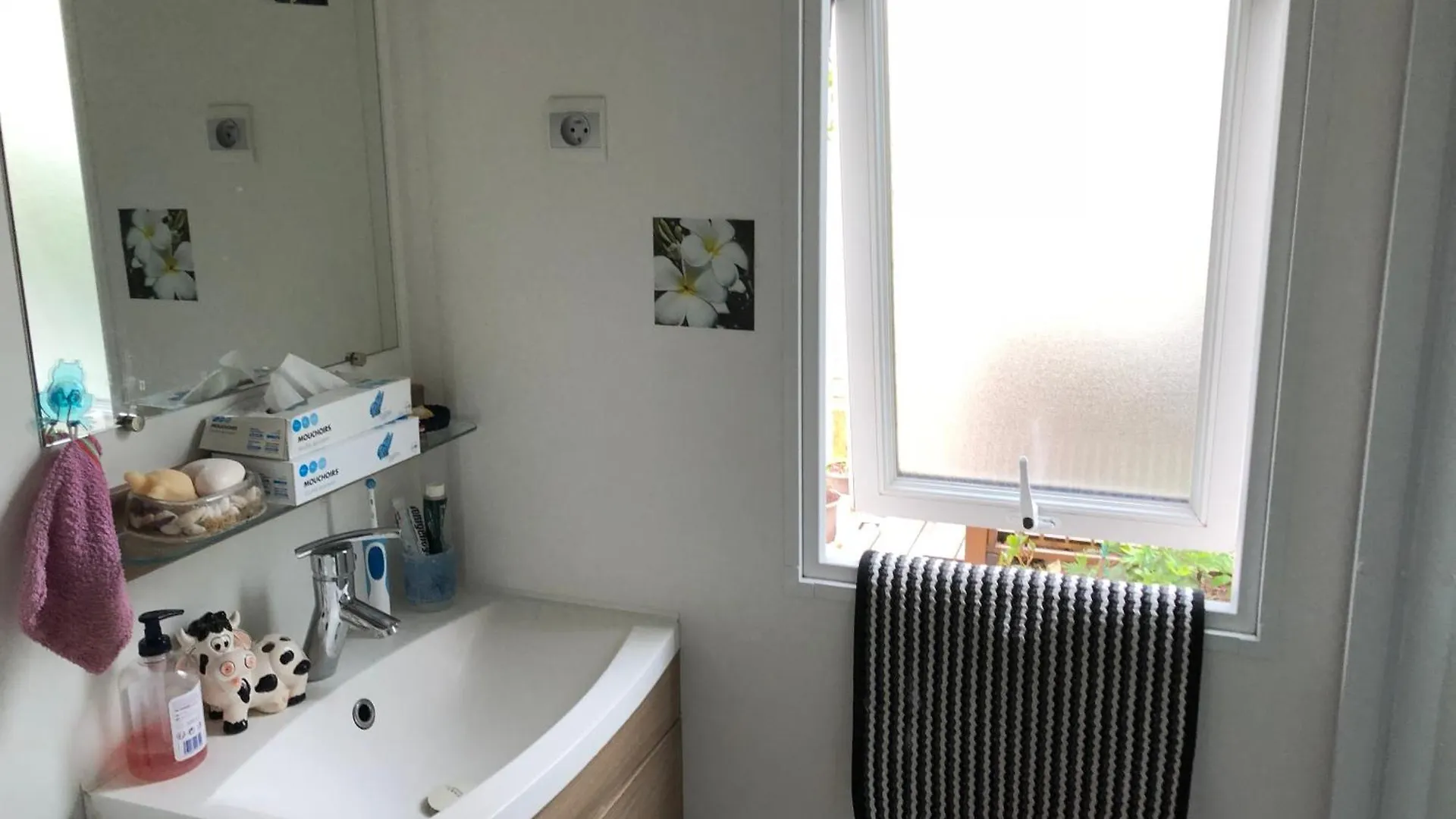 Campsite Camping Le Montourey Siblu Frejus France